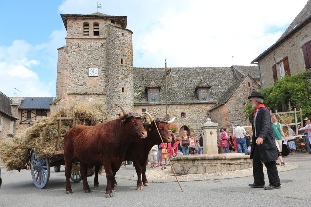 Chambres D'Hotes Du Presbytere La Bastide-l'Eveque Dış mekan fotoğraf